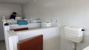 260811-MANTENIMIENTO ZONA NORTE (13)