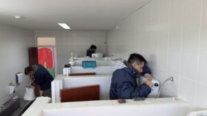 260811-MANTENIMIENTO ZONA NORTE (14)