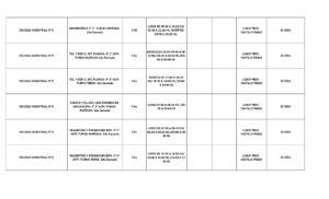 PLANILLA LLAMADO LOCAL 11-08-26 -_page-0003