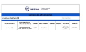 PLANILLA LLAMADO LOCAL 18-08-26 - Hoja1_page-0001