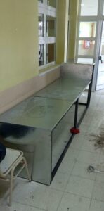 WhatsApp Image 2026-08-12 at 11.22.40 AM
