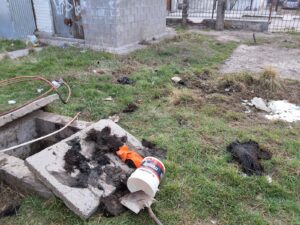 260901-MANTENIMIENTO ZONA NORTE (11)