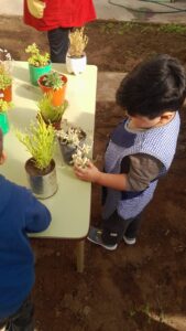 260917-JARDIN 22 PROYECTO HUERTA (4)