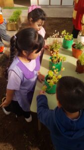 260917-JARDIN 22 PROYECTO HUERTA (5)
