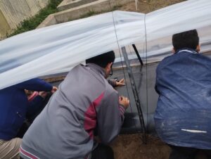 261005-PROYECTO CPESRI 35 INTA (2)