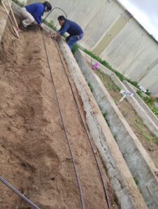 261005-PROYECTO CPESRI 35 INTA (7)