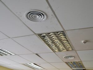 261008-AVANCES INDUSTRIAL 7 (2)