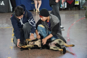 261023-EXPO CARRERASRGL (16)