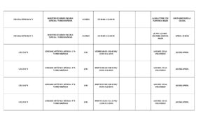PLANILLA LLAMADO LOCAL 05-10-26 - RECTIFICADO_page-0002