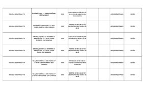 PLANILLA LLAMADO LOCAL 16-10-26 -_page-0003